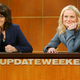 Illustration for article titled Now you can buy action figure versions of Amy Poehler and Tina Fey
